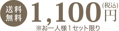 送料無料　1,000円（税抜）　※お一人様1セット限り